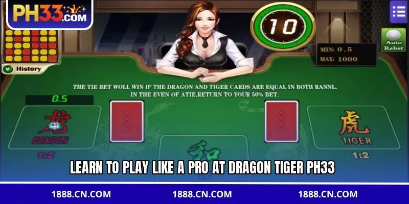Learn to play like a pro at Dragon Tiger PH33