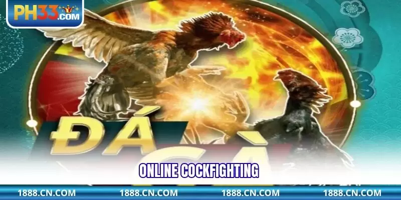 Online Cockfighting