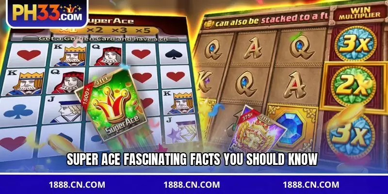 Super Ace fascinating facts you should know