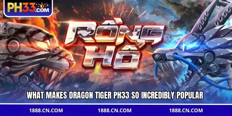 What makes Dragon Tiger PH33 so incredibly popular