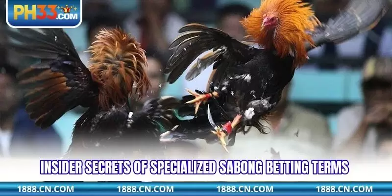 Insider secrets of specialized sabong betting terms