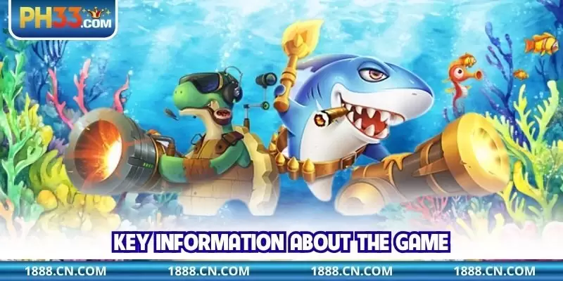 Key information about the game