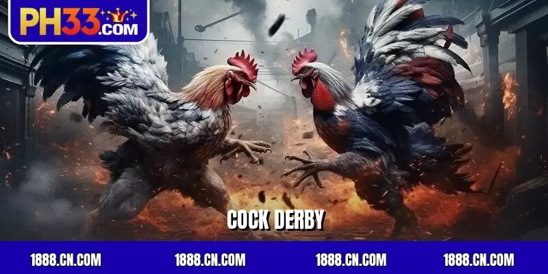 Cock Derby