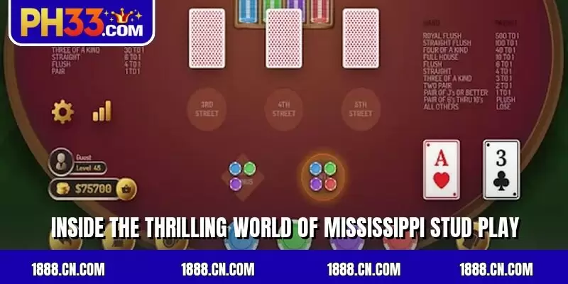 Inside the thrilling world of Mississippi Stud play