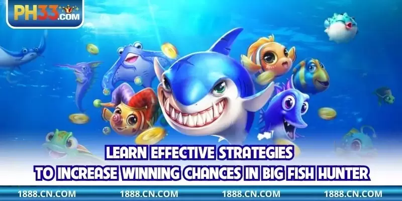 Learn effective strategies to increase winning chances in Big Fish Hunter