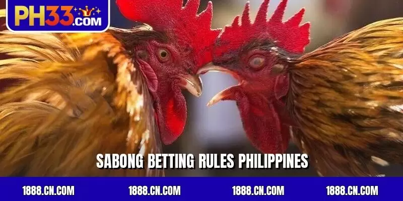 Sabong Betting Rules Philippines