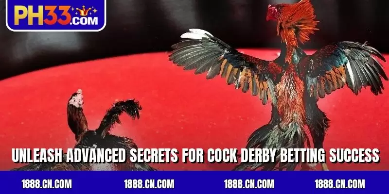 Unleash advanced secrets for cock derby betting success