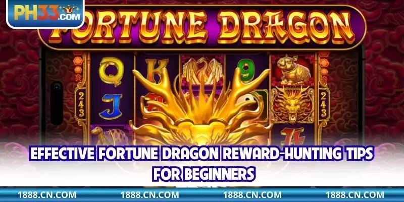 Effective Fortune Dragon reward-hunting tips for beginners