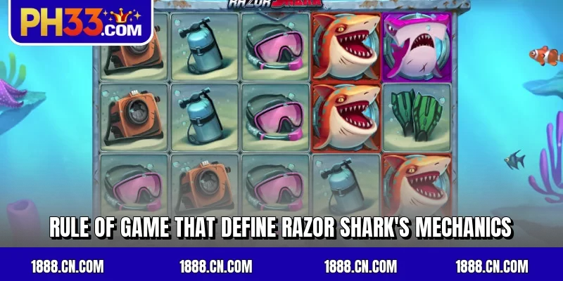 Rule of game that define Razor Shark’s mechanics