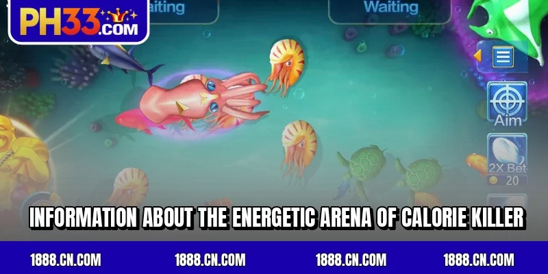 Information about the energetic arena of Calorie Killer
